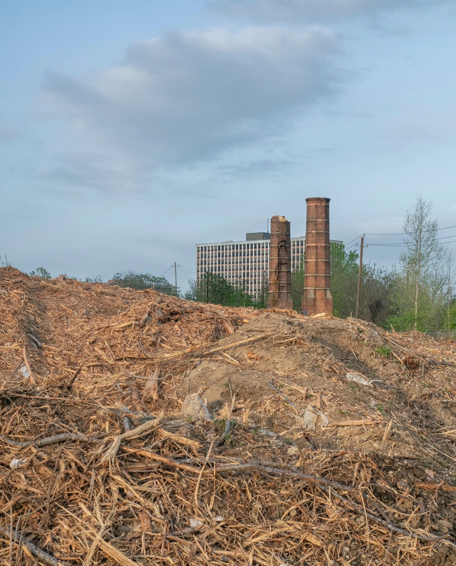 Brick chimneys remaining on a cleared contaminated site